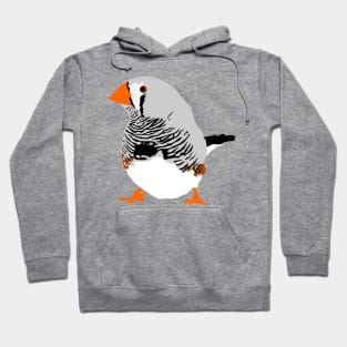 Zebra Finch Hoodie